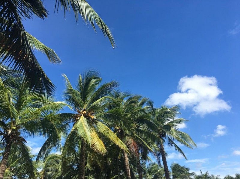 2017容聲集成吊頂優(yōu)秀經(jīng)銷商三亞游